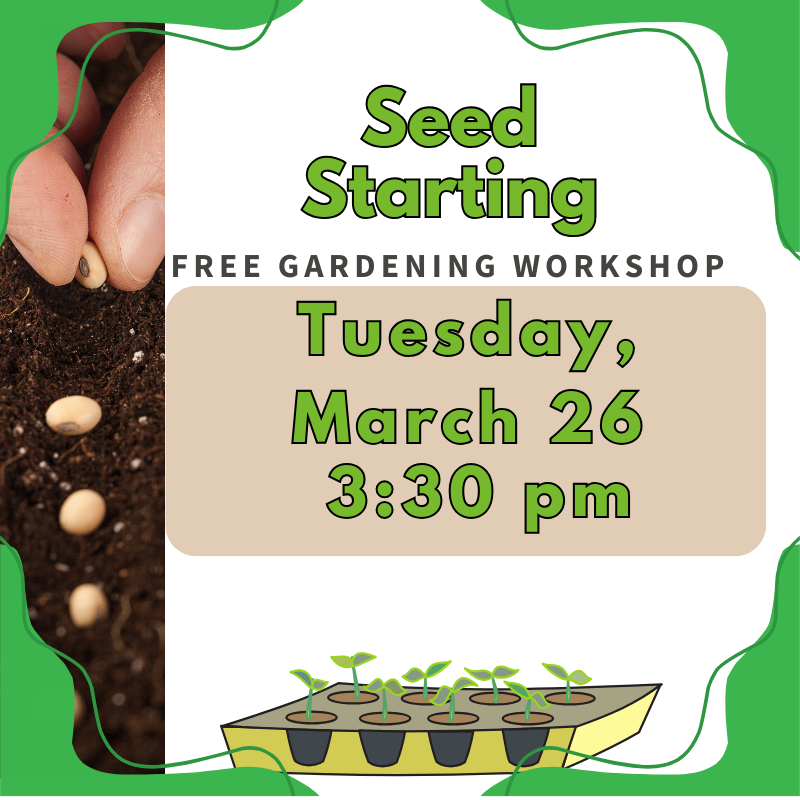 Free Seed starting workshop at the Bloomer Library
